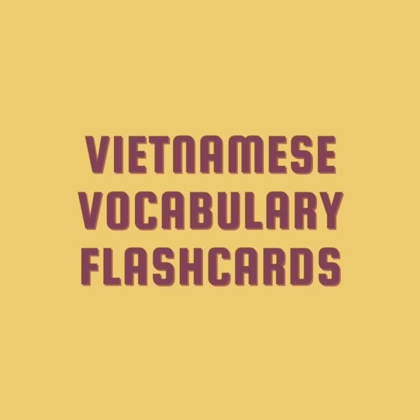 Southern Vocabulary Flashcards